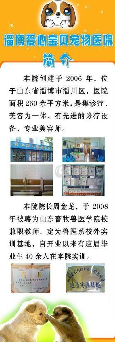 寵物醫(yī)院展架圖片